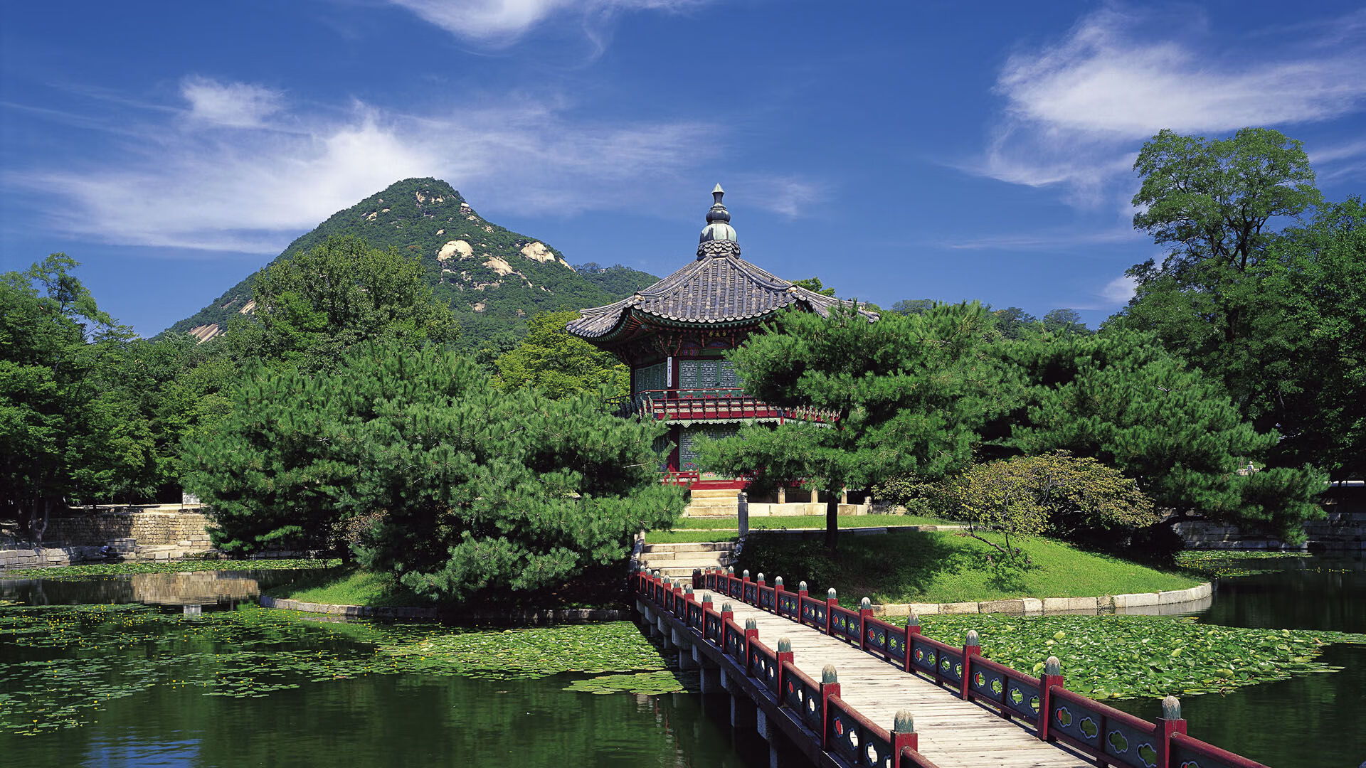 世界举重锦标赛优秀志愿者表彰大会举行，2021世界举重